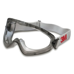 3M 2890 ruimzichtbril